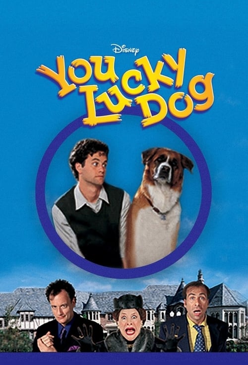 You Lucky Dog - Movie Poster