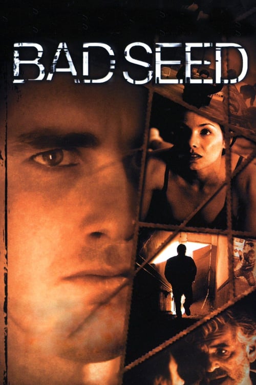 Bad Seed - Movie Poster Bad Seed - Movie Poster