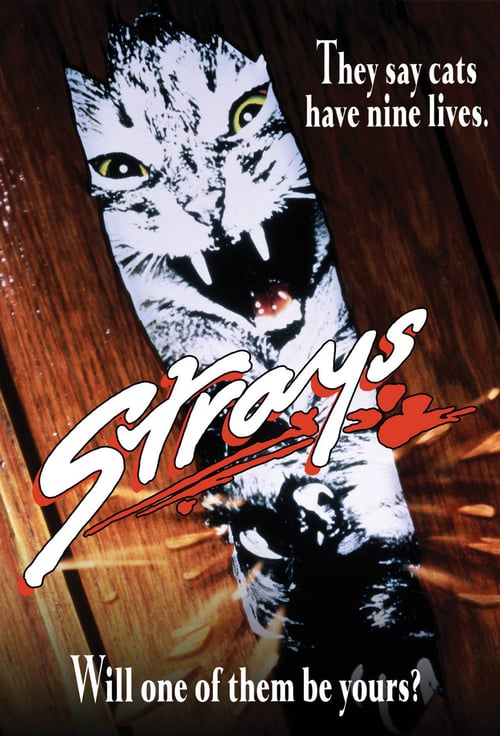 Strays - Movie Poster Strays - Movie Poster