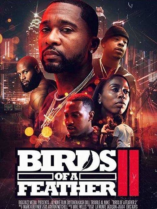 Birds of a Feather 2 - Movie Poster Birds of a Feather 2 - Movie Poster