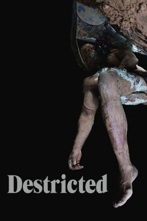 Destricted - Movie Poster Destricted - Movie Poster