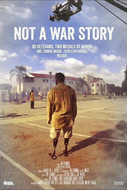 Not a War Story - Movie Poster Not a War Story - Movie Poster