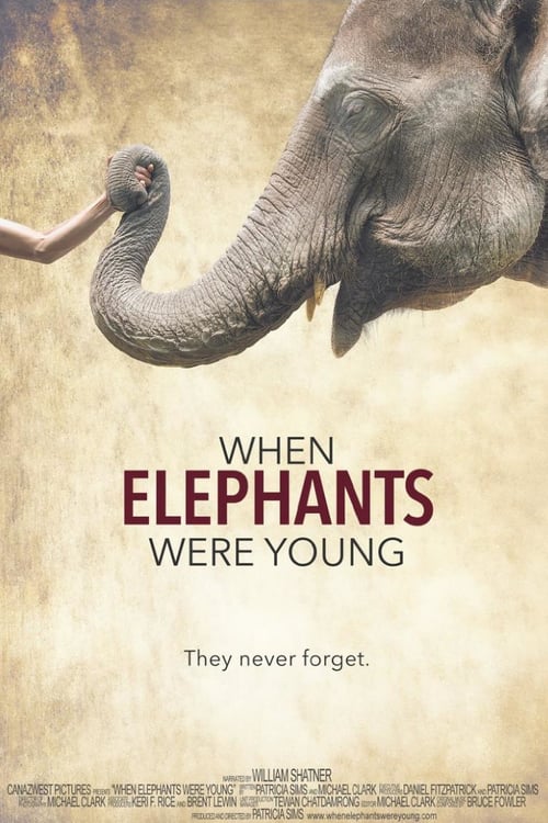 When Elephants Were Young - Movie Poster When Elephants Were Young - Movie Poster