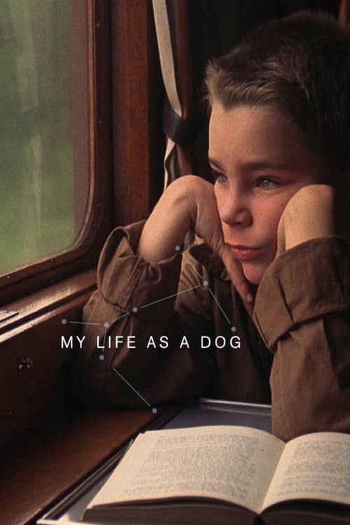 My Life as a Dog - Movie Poster My Life as a Dog - Movie Poster