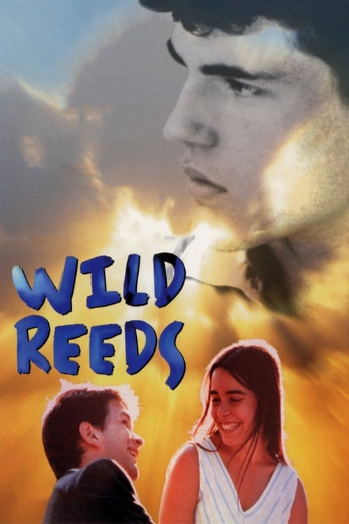Wild Reeds - Movie Poster Wild Reeds - Movie Poster