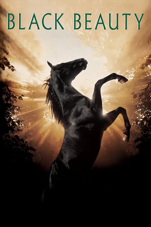 Black Beauty - Movie Poster Black Beauty - Movie Poster