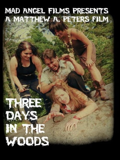 Three Days in the Woods - Movie Poster