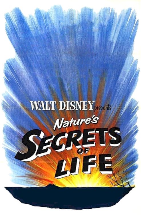 Secrets of Life - Movie Poster Secrets of Life - Movie Poster