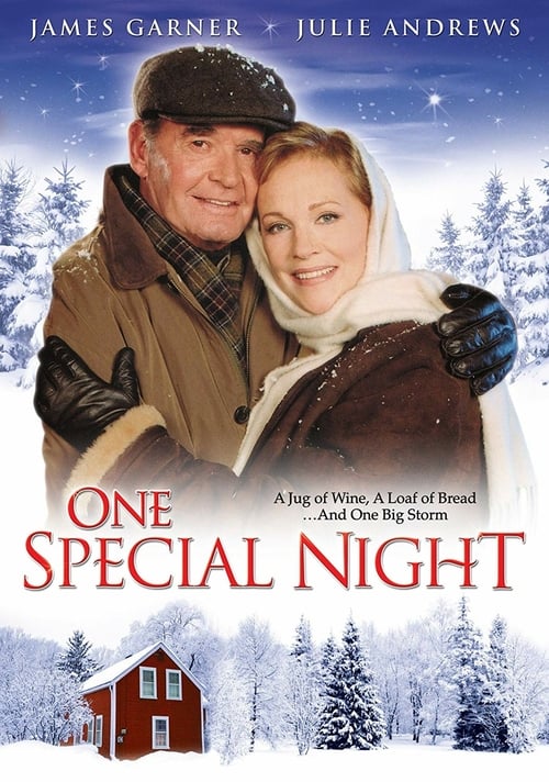 One Special Night - Movie Poster One Special Night - Movie Poster