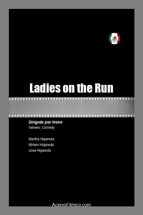 Ladies on the Run - Movie Poster