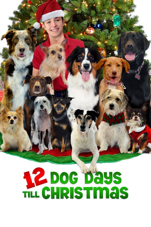 12 Dog Days Till Christmas - Movie Poster 12 Dog Days Till Christmas - Movie Poster