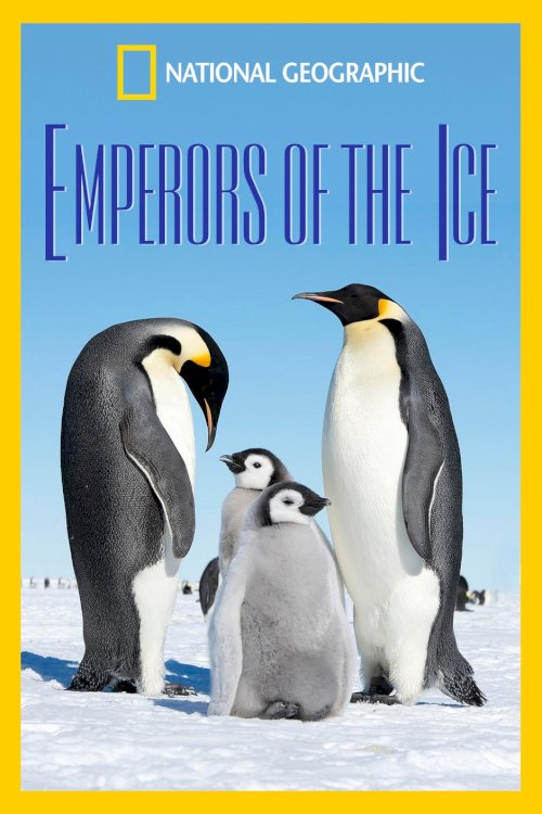 National Geographic: Emperors of the Ice - Movie Poster National Geographic: Emperors of the Ice - Movie Poster