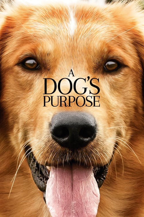 A Dog's Purpose - Movie Poster