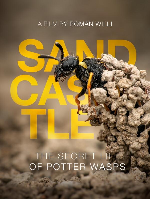 Sandcastle - The Secret Life Of Potter Wasps - Movie Poster Sandcastle - The Secret Life Of Potter Wasps - Movie Poster