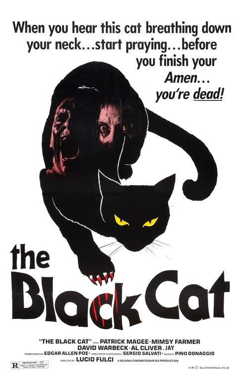 The Black Cat - Movie Poster The Black Cat - Movie Poster