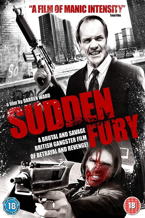 Sudden Fury - Movie Poster