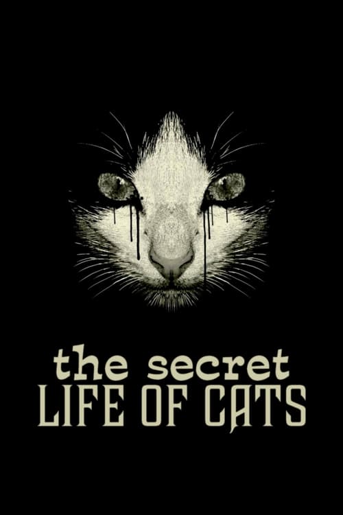 The Secret Life of Cats - Movie Poster The Secret Life of Cats - Movie Poster