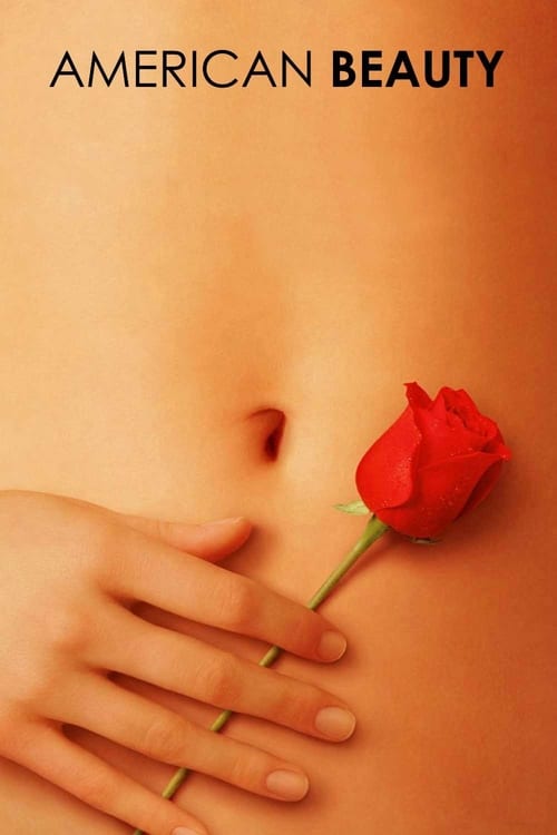 American Beauty - Movie Poster American Beauty - Movie Poster