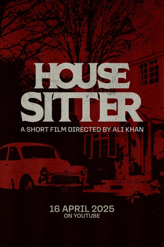 House Sitter - Movie Poster House Sitter - Movie Poster
