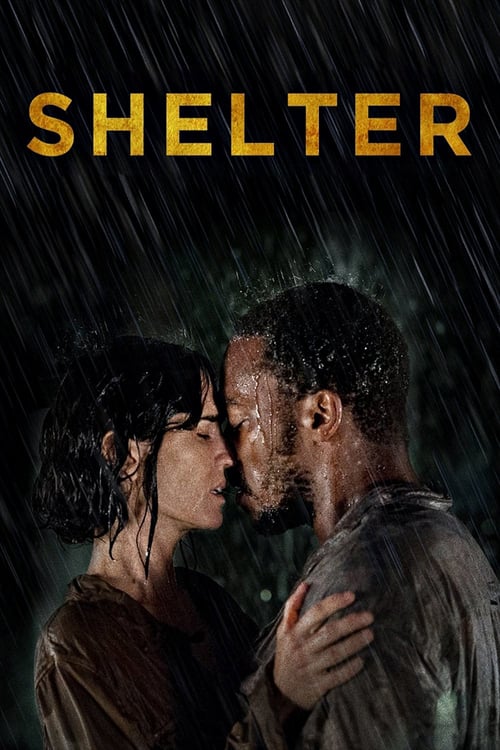 Shelter - Movie Poster Shelter - Movie Poster