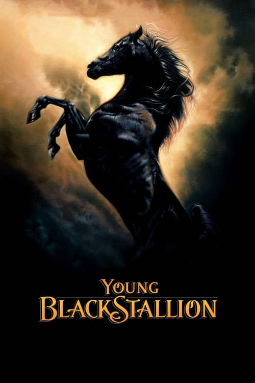 Young Black Stallion - Movie Poster Young Black Stallion - Movie Poster