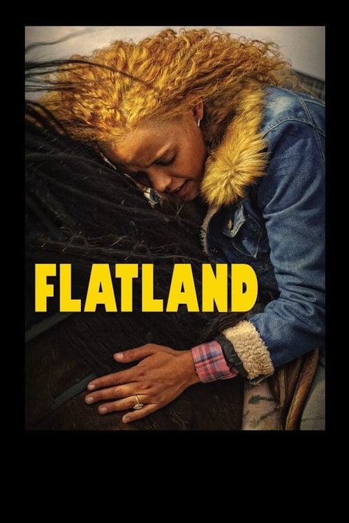 Flatland - Movie Poster Flatland - Movie Poster