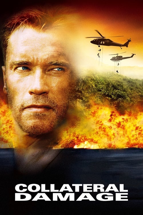 Collateral Damage - Movie Poster