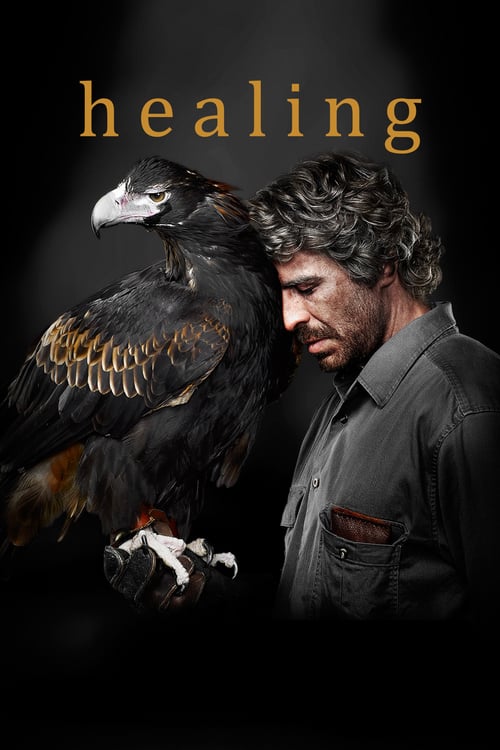 Healing - Movie Poster Healing - Movie Poster
