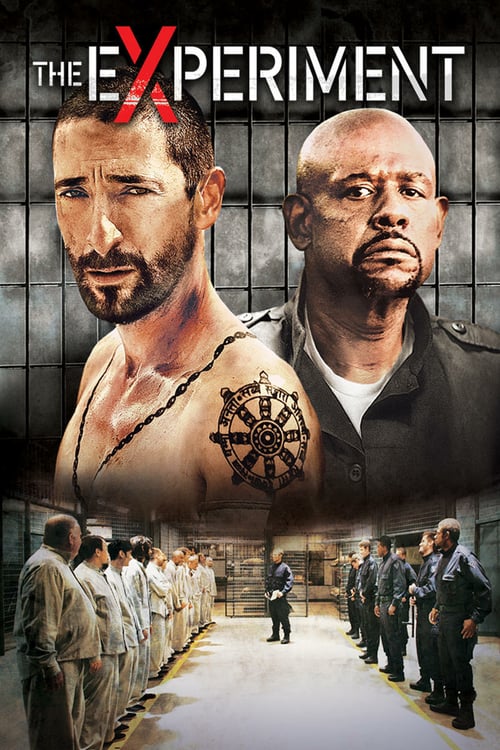 The Experiment - Movie Poster The Experiment - Movie Poster