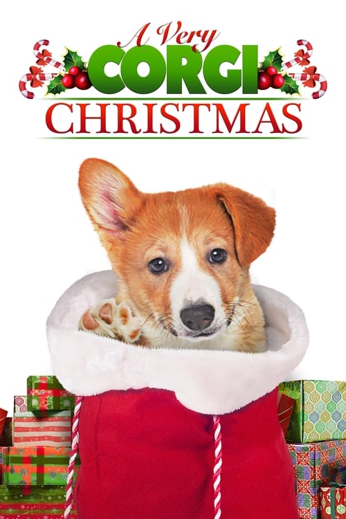 A Very Corgi Christmas - Movie Poster A Very Corgi Christmas - Movie Poster