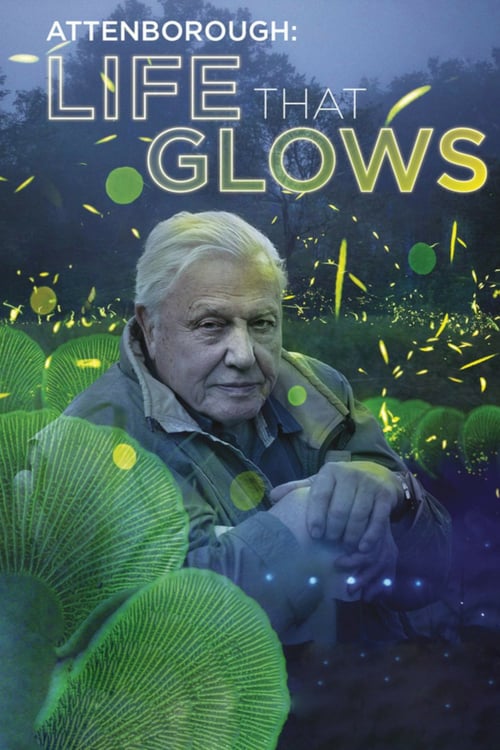 Attenborough's Life That Glows - Movie Poster Attenborough's Life That Glows - Movie Poster