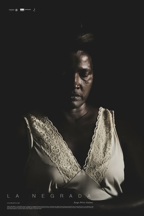 Black Mexicans - Movie Poster Black Mexicans - Movie Poster