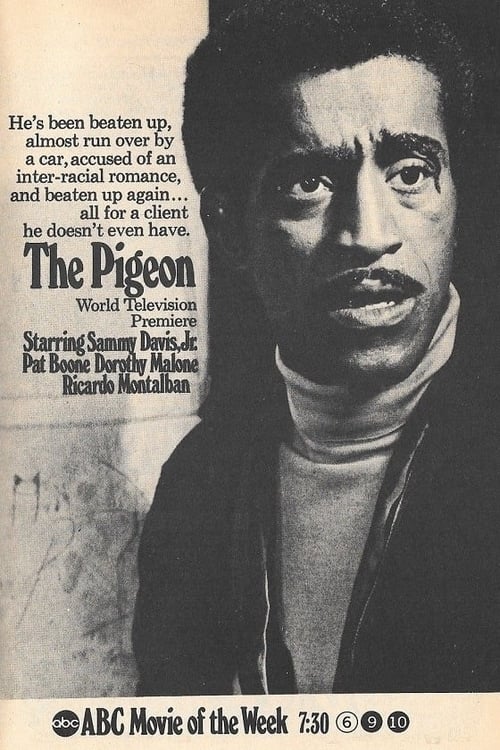 The Pigeon - Movie Poster The Pigeon - Movie Poster