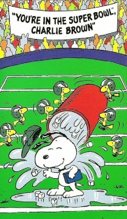 You're in the Super Bowl, Charlie Brown - Movie Poster You're in the Super Bowl, Charlie Brown - Movie Poster