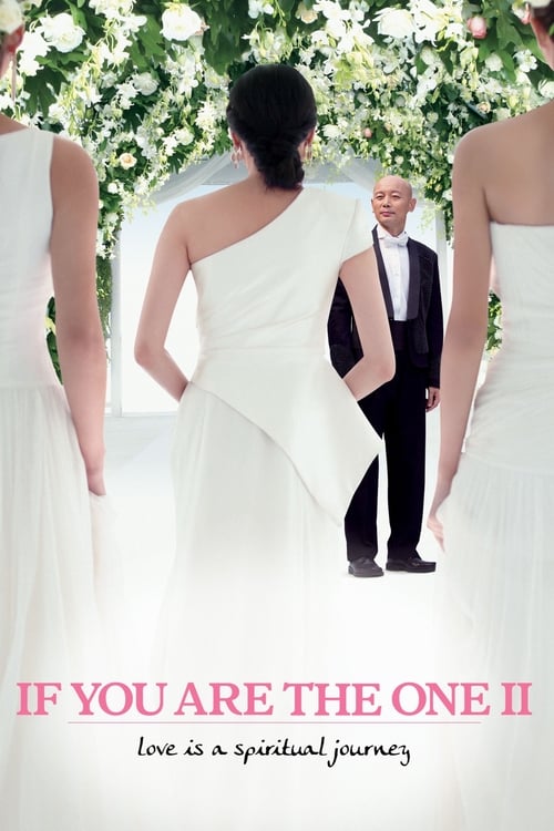 If You Are the One 2 - Movie Poster If You Are the One 2 - Movie Poster