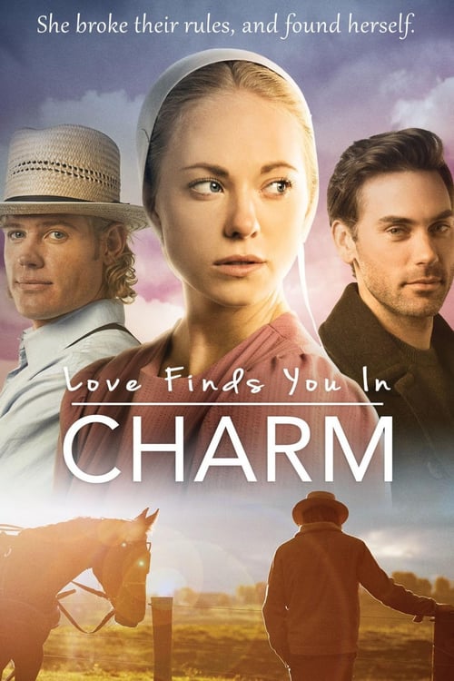 Love Finds You in Charm - Movie Poster Love Finds You in Charm - Movie Poster