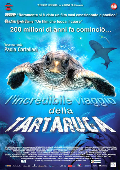 Turtle: The Incredible Journey - Movie Poster Turtle: The Incredible Journey - Movie Poster