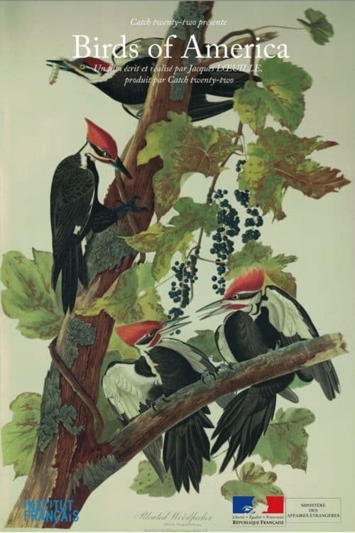 Birds of America - Movie Poster Birds of America - Movie Poster