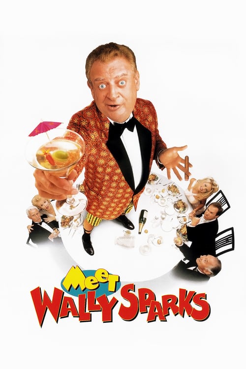 Meet Wally Sparks - Movie Poster Meet Wally Sparks - Movie Poster