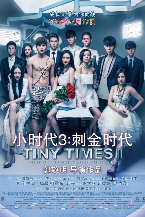 Tiny Times 3 - Movie Poster Tiny Times 3 - Movie Poster