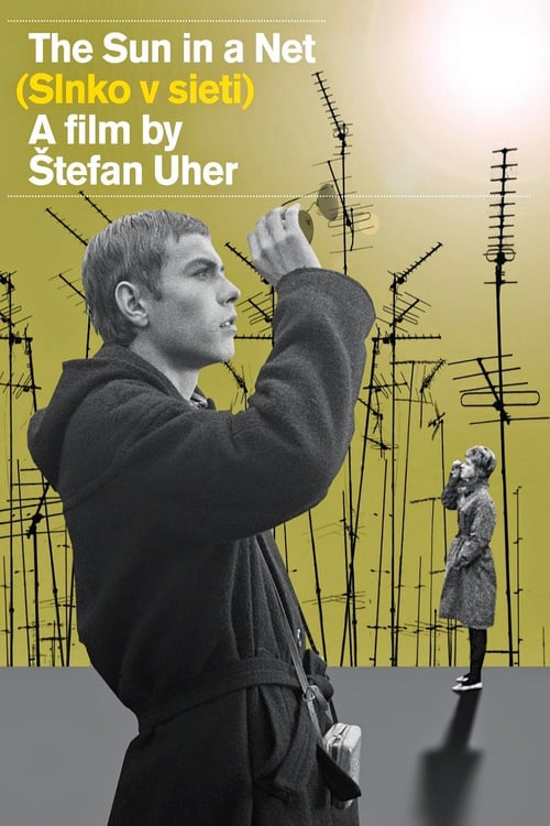 The Sun in a Net - Movie Poster