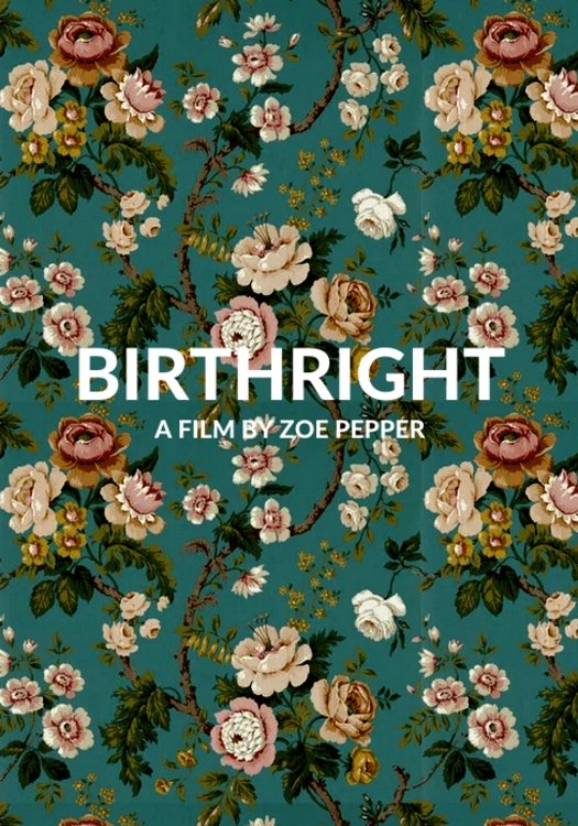 Birthright - Movie Poster