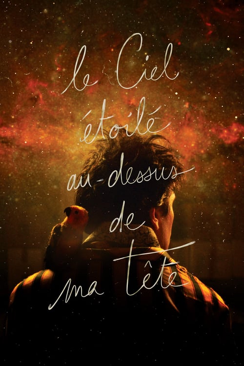 The Starry Sky Above Me - Movie Poster