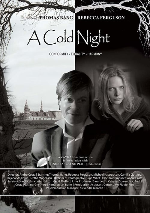 Cold Night - Movie Poster Cold Night - Movie Poster
