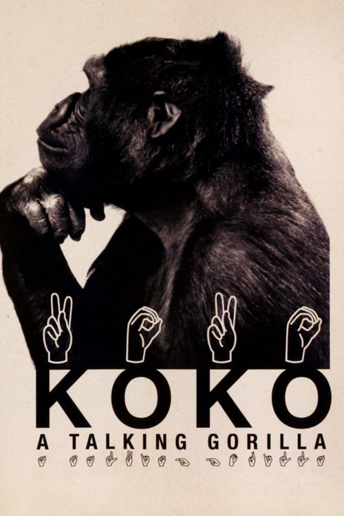 Koko: A Talking Gorilla - Movie Poster Koko: A Talking Gorilla - Movie Poster