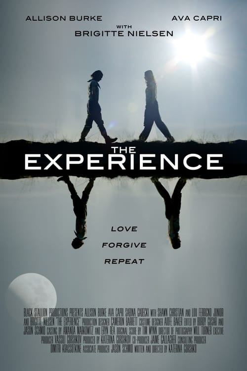 The Experience - Movie Poster