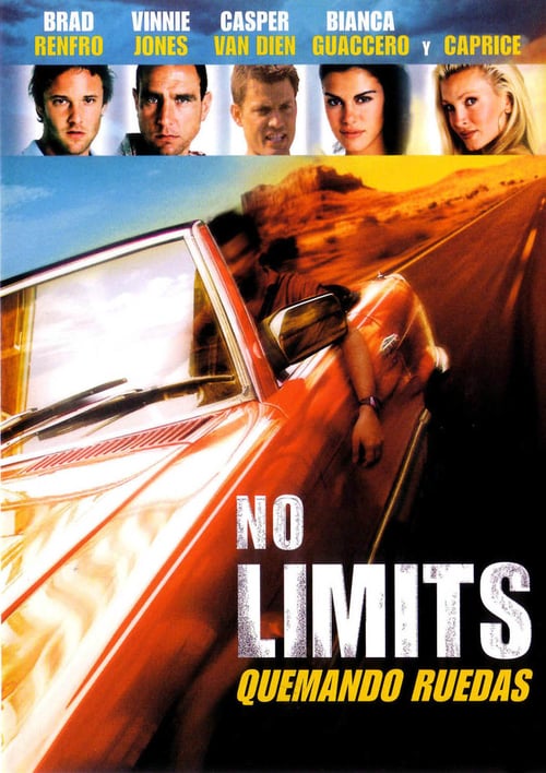 Hollywood Flies - Movie Poster Hollywood Flies - Movie Poster