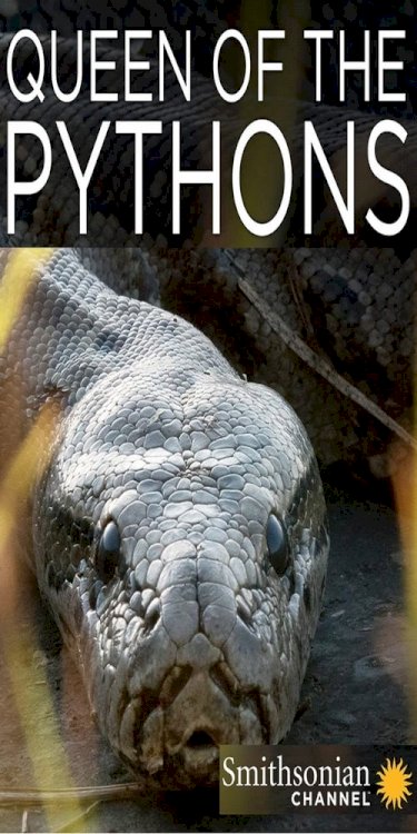 Queen of the Pythons - Movie Poster Queen of the Pythons - Movie Poster