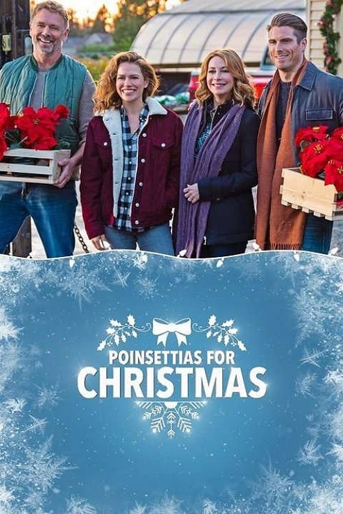 Poinsettias for Christmas - Movie Poster Poinsettias for Christmas - Movie Poster