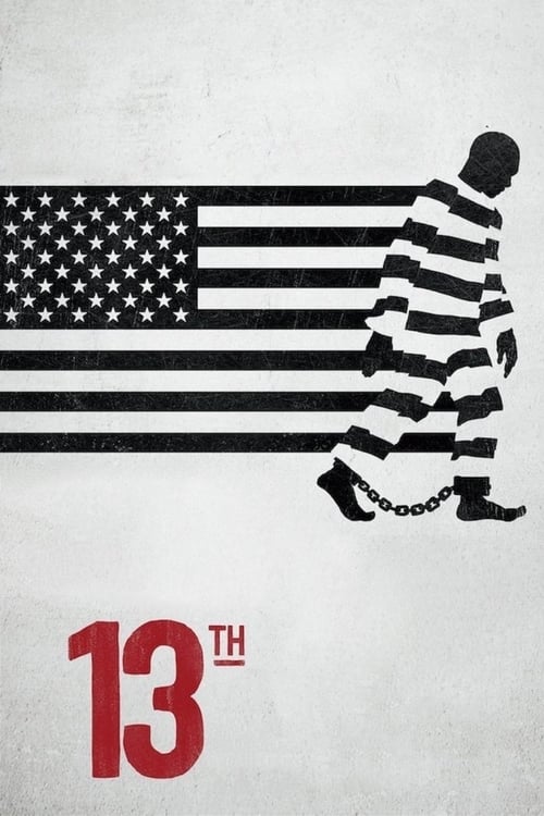 13th - Movie Poster 13th - Movie Poster